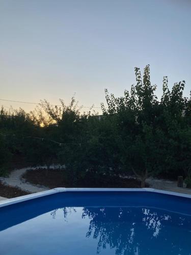 a blue swimming pool with trees in the background at Dimora Cavalieri charming house salento puglia in Andrano