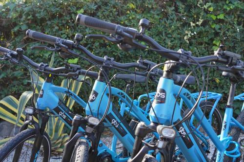 eine Reihe blauer Fahrräder, die nebeneinander stehen in der Unterkunft VILLA RITA SEA FRONT VIEW Sanremo in Sanremo