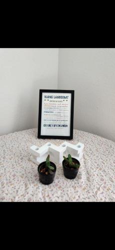 twee potplanten op een tafel met een laptop bij Capital city of Lego, Prime location! Room 01 in Billund