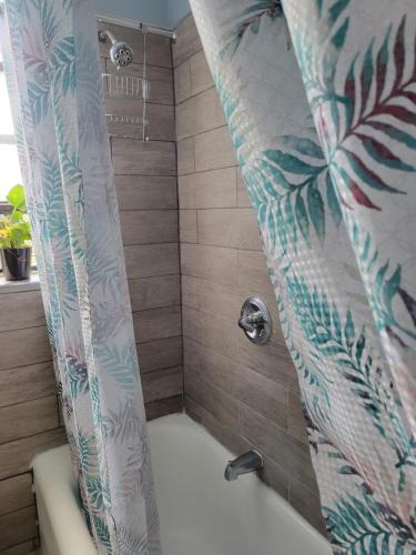 a bathroom with a shower with a shower curtain at Brooklyn Flat Tropical Vibe in Brooklyn
