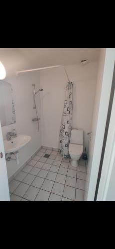 een badkamer met een toilet en een wastafel bij Capital city of Lego, Prime location! Room 01 in Billund
