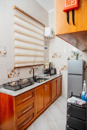 kuchnia ze zlewem i lodówką w obiekcie Mine Apartment w mieście Dar es Salaam