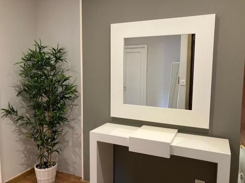 a mirror on a wall above a fireplace with a plant at Vivienda estación in Ourense