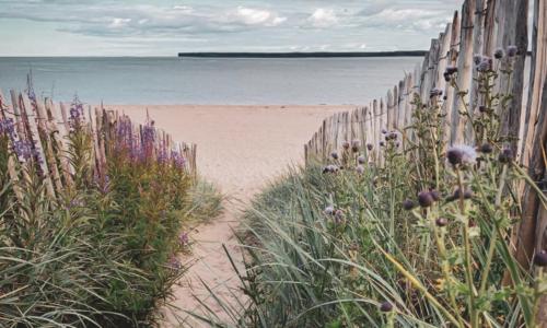 una valla en la playa junto a una playa en The Estuary, en Dundee