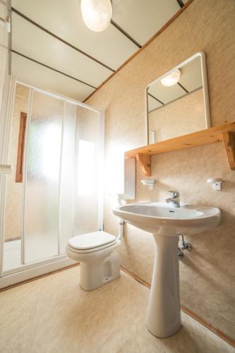 a bathroom with a sink and a toilet and a mirror at Bungalow al Lago in Ledro