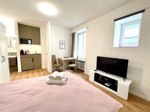 a bedroom with a bed and a flat screen tv at Heart of Zurich Modern Studio HG7 in Zurich