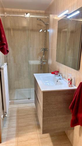 ein Bad mit einem Waschbecken und einer Dusche in der Unterkunft Rincón Estelles in Estella
