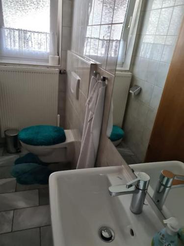 a bathroom with a toilet and a sink and a sink at Gemütliche Ferienwohnung am Waldrand in Elgersburg