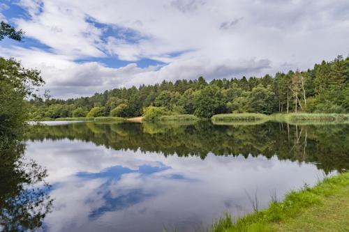 a view of a lake with trees in the background at Wild Meadow Barn in Aylsham