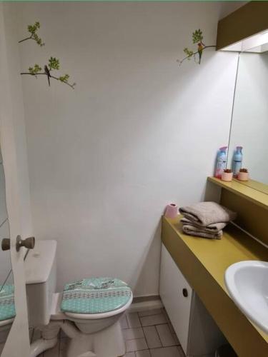 une salle de bain avec toilettes et lavabo dans l'établissement CAP2 Studio 3p Parking Port Cap d'Agde, au Cap d'Agde