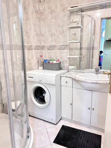 een badkamer met een wasmachine en een wastafel bij Charmant appartement tout équipé avec 2 chambres in Ivry-sur-Seine