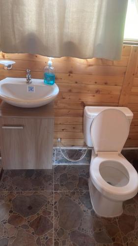 a bathroom with a toilet and a sink at Lago Cristal Chalets in Los Santos