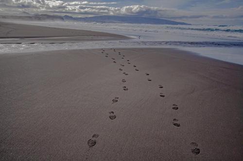 a group of footprints in the sand on the beach at Alojamento CANTO NA RELVA in Ponta Delgada