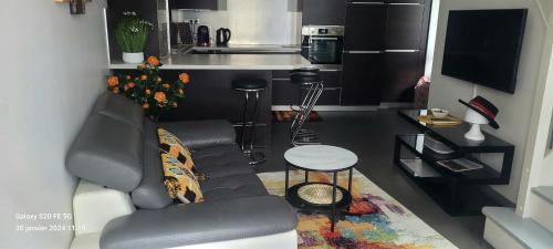 un salon avec un canapé et une table dans l'établissement L'Harmonie de Naya, confort , parking privé, à Bourges