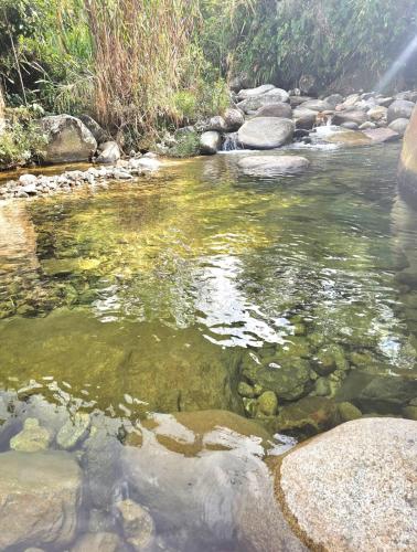 a stream with rocks in a river with green water at Cabaña Glamping Los Canarios San Rafael, Antioquia in San Rafael