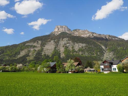 アルタウスゼーにあるHeli's Holiday Suites, 8992 Altaussee, Suites "Dachstein", "Sarstein", "Trisselwand"の家の前に緑地がある山