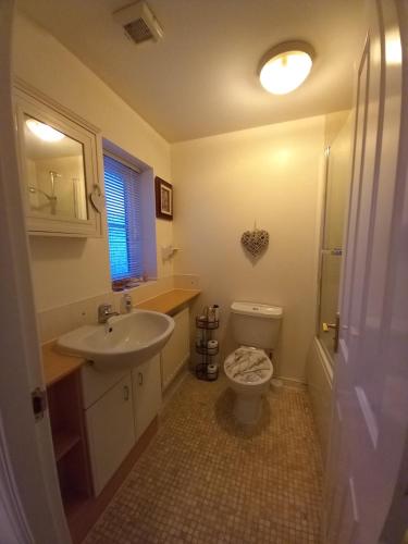 a bathroom with a toilet and a sink at Turners Escape in Dinnington