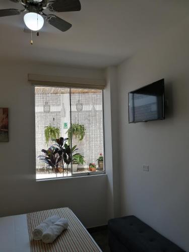 a living room with a window with plants in it at Casa Yuraq Hotel Boutique in Chincha Alta