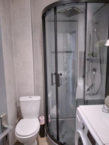 une salle de bain avec toilettes et douche en verre dans l'établissement Les Girelles - T2, 50m2 avec vue sur canal, à Palavas-les-Flots