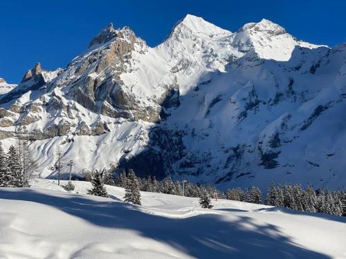 a snow covered mountain with trees in the foreground at Chalet Spatz Garden near Oeschinen Lake in Kandersteg