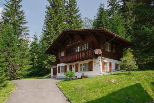 a house on a hill with a driveway at Chalet Spatz Garden near Oeschinen Lake in Kandersteg