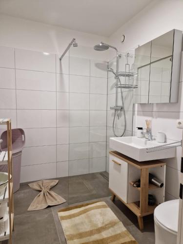 a bathroom with a shower and a sink and a mirror at Wohlfühlapartment 24 in Götzis