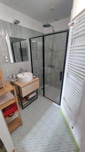 une salle de bain avec un lavabo et une douche dans l'établissement Appartement en maison de ville, à Pontarlier