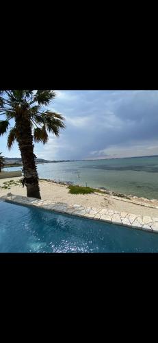 a palm tree next to a beach with the ocean at Les pieds dans l’eau in Sète