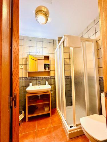 a bathroom with a shower and a sink at Apartamento La Larri in Bielsa