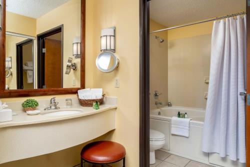 a bathroom with a sink and a toilet and a mirror at MCM Elegante Lodge & Resorts in Ruidoso