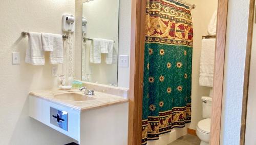 baño con lavabo y cortina de ducha en Big Horn Lodge en Grand Lake