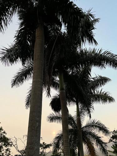 two palm trees with the sky in the background at Palmeras del Mirador - Hotel Boutique Campestre en La Vega a 1h de Bogotá in La Vega