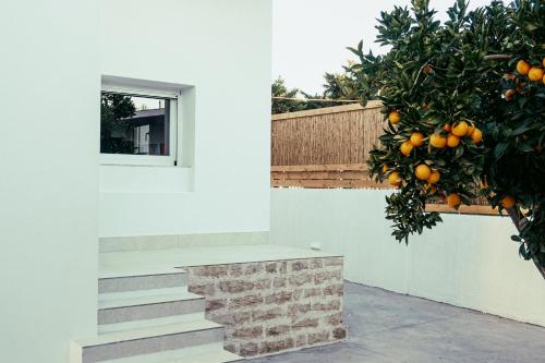 a tree with oranges on it next to a building at Arion Aegli in Agioi Theodoroi