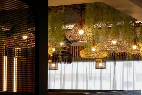 a bunch of chandeliers are hanging from a window at Nuvō Hotel Boutique in Oviedo