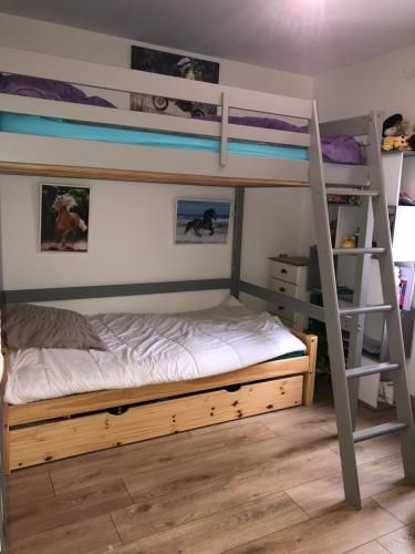 une chambre avec deux lits superposés et une échelle dans l'établissement L’aureilhannaise, à Aureilhan