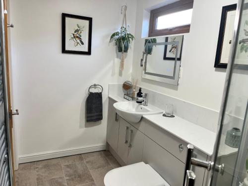 Baño blanco con lavabo y aseo en Wellinghill Lodge, en Cheltenham