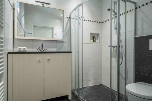 een badkamer met een douche, een wastafel en een toilet bij Huisje Elfde Wijk in Rheezerveen