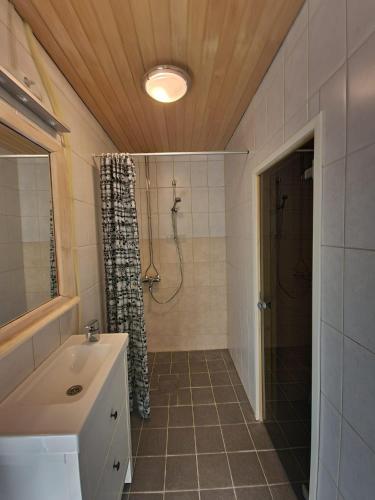 a bathroom with a shower and a sink at Ainola 1 in Syöte