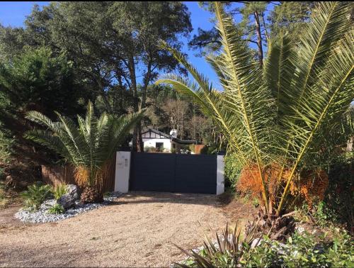 Photo de la galerie de l'établissement Charmant T2 jardin près des plages et du golf Seignosse, à Seignosse