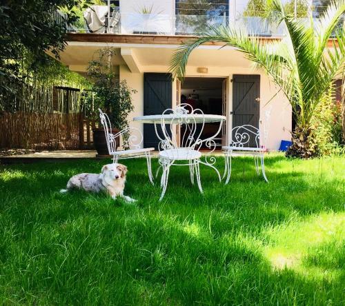 Photo de la galerie de l'établissement Charmant T2 jardin près des plages et du golf Seignosse, à Seignosse