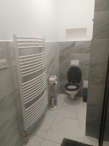 a bathroom with a toilet with a black seat at Rena Vendégház in Nagykanizsa