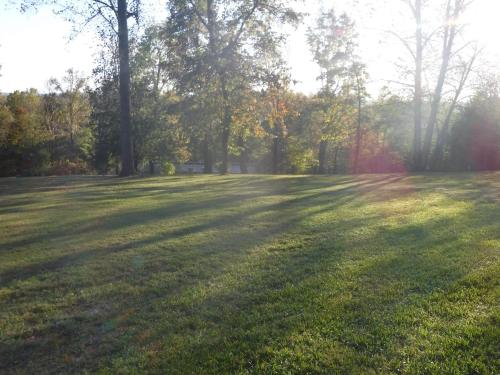 a large grass field with trees in the background at serenity hill bed and breakfast in Brownsville