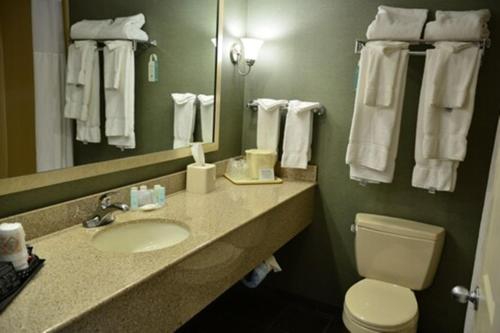 uma casa de banho com um lavatório, um WC e um espelho. em Clarion Inn & Suites Lake George em Lake George