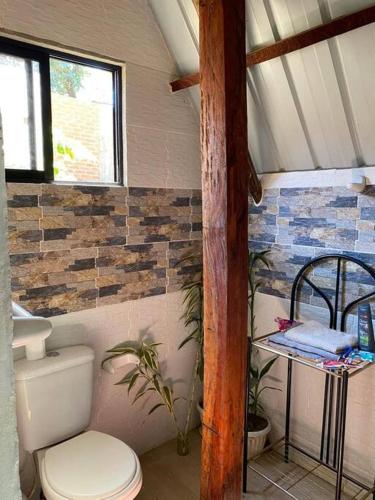 a bathroom with a white toilet in a room at Magic Tree Porongo Cabaña Roble in Santa Cruz de la Sierra