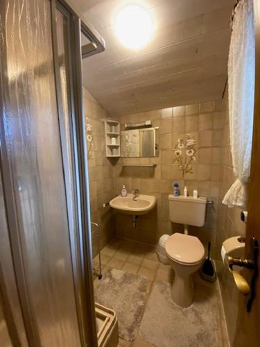 a small bathroom with a toilet and a sink at Ferienwohnung Deininger inkl. Chiemgaukarte in Ruhpolding