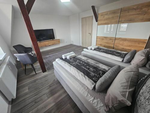 a bedroom with two beds and a flat screen tv at Suite Dari in Bernburg