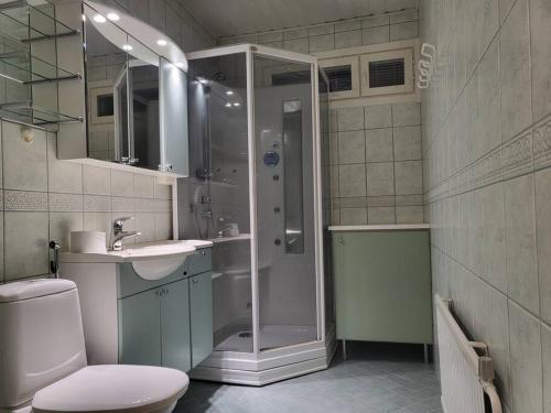 a bathroom with a shower and a toilet and a sink at Home Apartment Haukipudas in Oulu