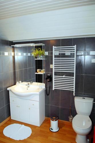 a bathroom with a white sink and a toilet at Bed en Breakfast le freyr in Dinant
