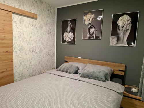1 dormitorio con 1 cama y cuadros en la pared en Cherry House en Čatež ob Savi