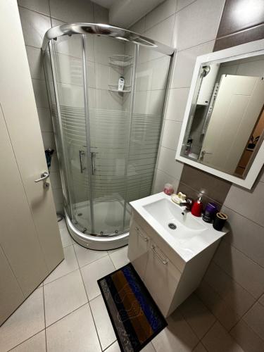 a bathroom with a shower and a white sink at Casa de Cuba in Novi Grad